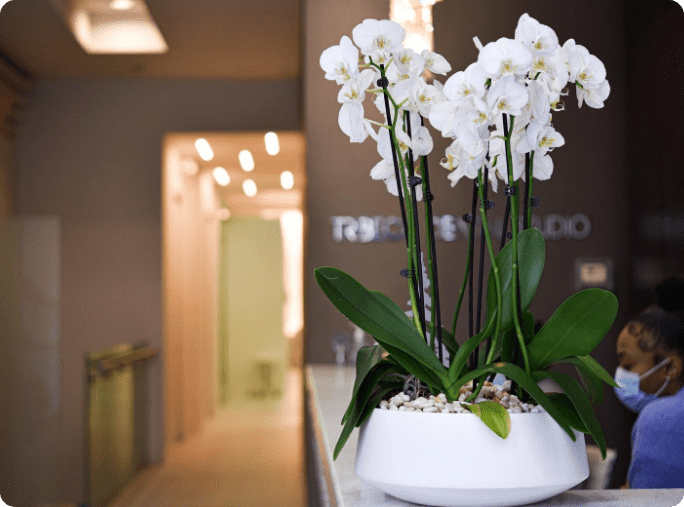 tribeca_dental_studio on Instagram